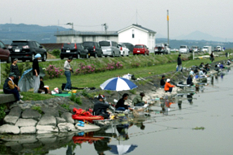 いちご杯九州ヘラブナ釣り大会　（4月第4日曜日）の画像