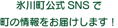 氷川町公式SNSで町の情報をお届けします！