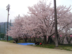 桜ヶ丘公園