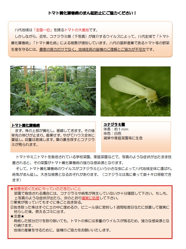 Web キャプチャ_5-6-2024_164019_profile