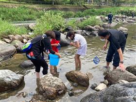 氷川で生き物を捕まえる