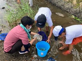 氷川で生き物を捕まえる2