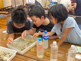 生き物の観察