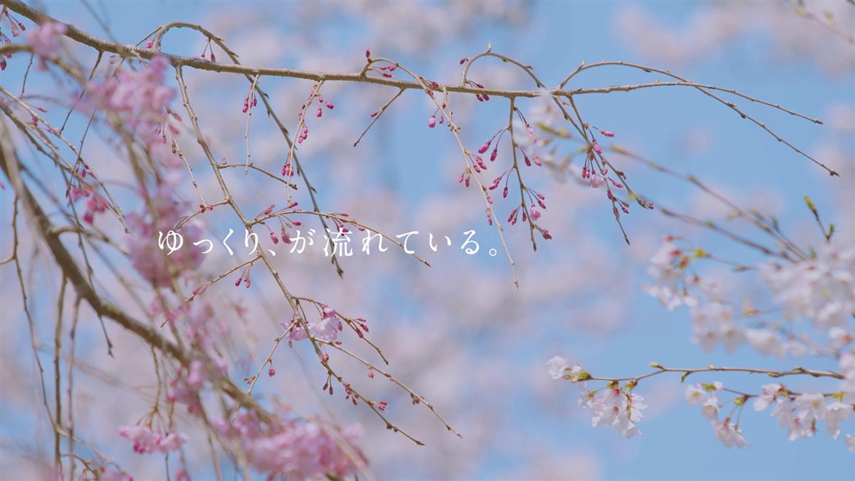 氷川町ドキュメンタリームービー画像