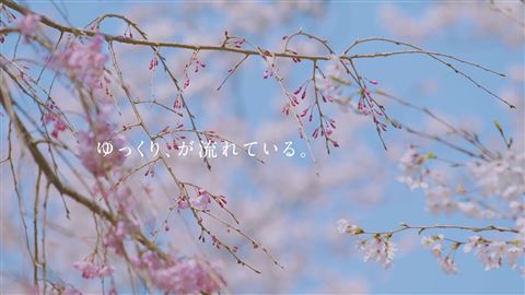 【サムネイル】ドキュメンタリームービー_「いい日_ひかわで」